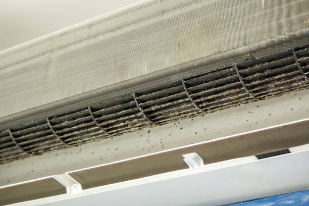 Best Local Air Duct Cleaning Services  in Ohatchee, AL
